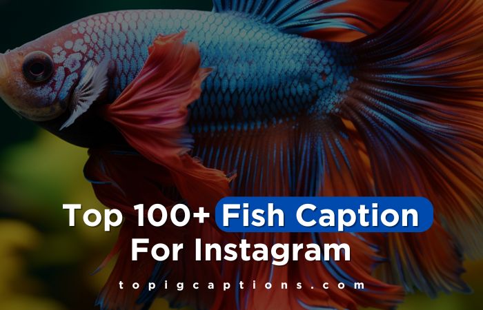 Fish Caption For Instagram