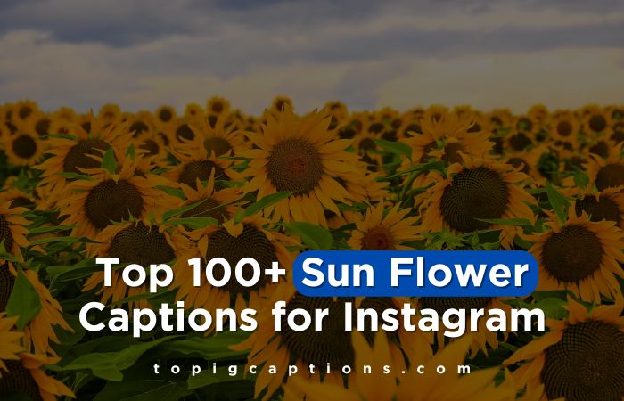 Sun Flower Captions for Instagram